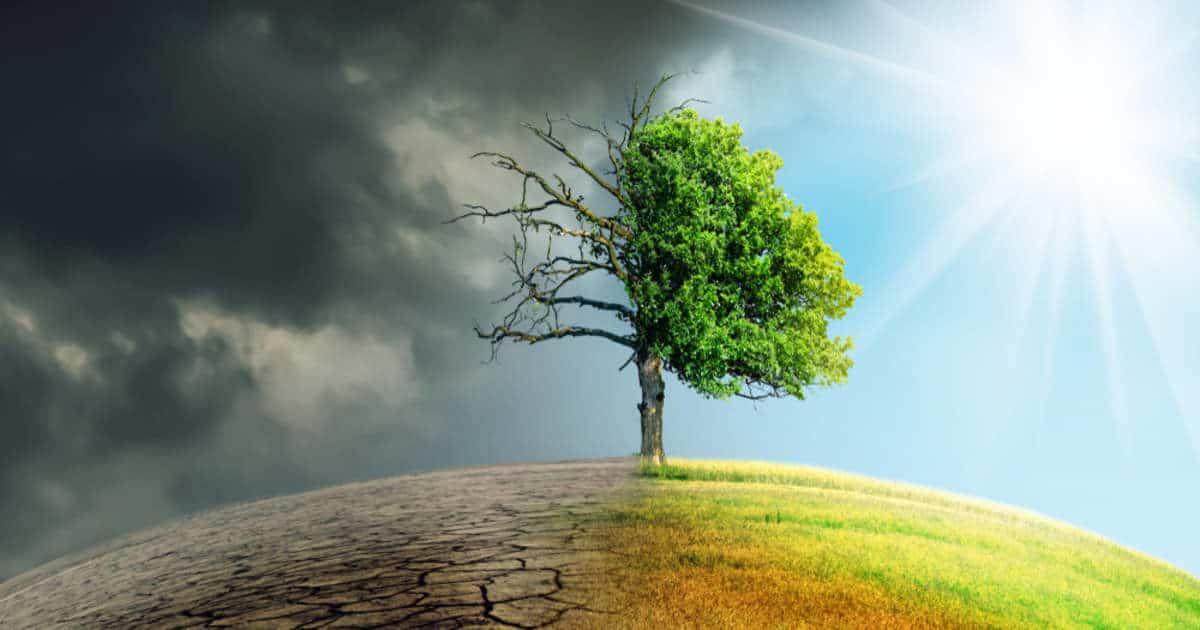 Climate Resilience Trends: Adapting to Environmental Challenges for a Sustainable Future